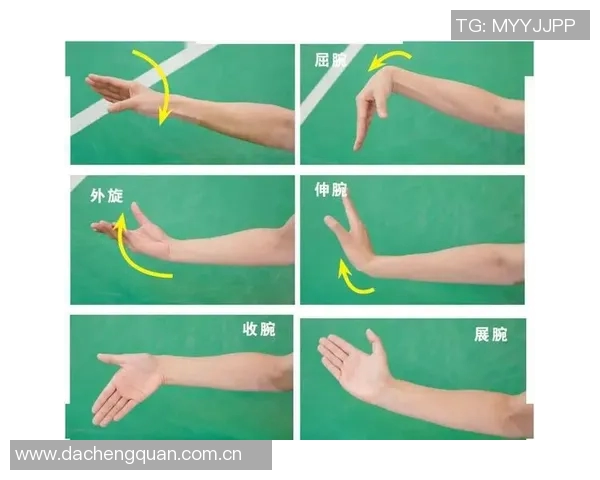 科学羽毛球训练指南：提升个人能力的有效方法与技巧分享