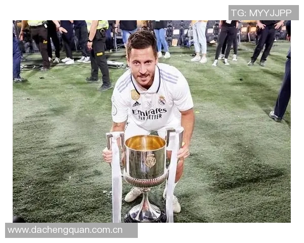 足球巨星伊布的多重昵称背后的故事与传奇人生揭秘