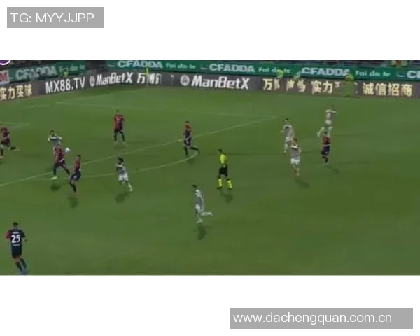 重庆羽毛球队在世界杯预选赛中的个人能力分析与表现点评