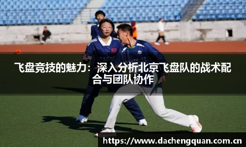 飞盘竞技的魅力：深入分析北京飞盘队的战术配合与团队协作